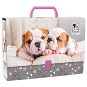 Polnische buch : Teczka z r...