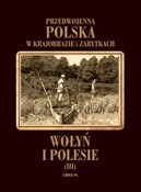 Wołyń i Po... - Prof. Tadeusz Szydłowski -  polnische Bücher