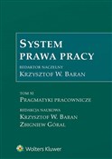 Polska książka : System pra... - Krzysztof Wojciech Baran, Zbigniew Góral