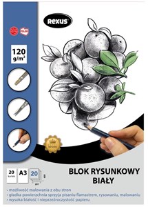 Bild von Blok rysunkowy A3/20K biały Premium