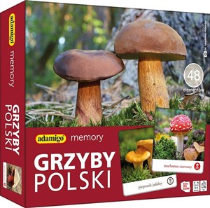 Bild von Gra memory Grzyby Polski