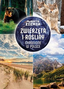 Obrazek Planeta Ziemia Zwierzęta i rośliny chronione w Polsce