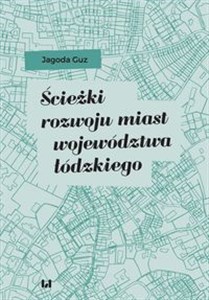 Obrazek Ścieżki rozwoju miast województwa łódzkiego