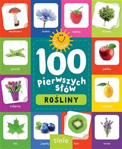 Obrazek Rośliny. 100 pierwszych słów