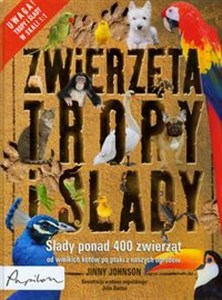 Obrazek Zwierzęta Tropy i ślady Ślady ponad 400 zwierząt od wielkich kotów po ptaki z naszych ogrodów