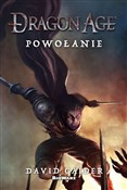 Polska książka : Dragon Age... - David Gaider