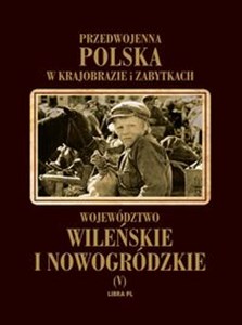 Bild von Województwo wileńskie i nowogródzkie Przedwojenna Polska w krajobrazie i zabytkach