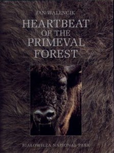 Bild von Heartbeat of the Primeval Forest Białowieża National Park