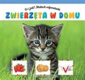 Co i jak? ... -  polnische Bücher