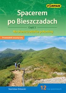 Obrazek Spacerem po Bieszczadach Część 2 Na bieszczadzkie połoniny