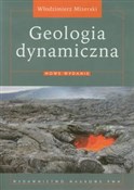Polska książka : Geologia d... - Włodzimierz Mizerski