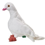 Gołąb biał... - buch auf polnisch 