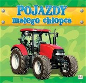 Obrazek Pojazdy małego chłopca