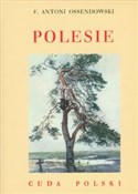 Polnische buch : Polesie Cu... - Antoni Ferdynand Ossendowski