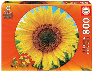 Bild von Puzzle 800 Słonecznik okrągłe 110485