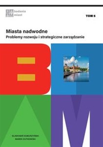 Bild von Miasta nadwodne Problemy rozwoju i strategiczne zarządzanie