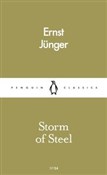 Storm of S... - Ernst Junger -  polnische Bücher