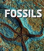 Fossils (F... - Ava Sawyer -  polnische Bücher