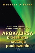 Polnische buch : Apokalipsa... - Michael O'Brien