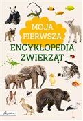 Moja pierw... - Marta Kotecka - buch auf polnisch 