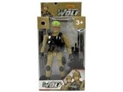 Żołnierz m... - buch auf polnisch 