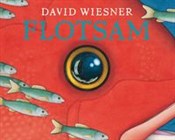 Flotsam - David Wiesner -  fremdsprachige bücher polnisch 