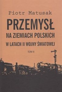 Obrazek Przemysł na ziemiach polskich w latach II wojny światowej t.2 Przemysł hutniczy, metalowy, maszynowy, lotniczy i stoczniowy