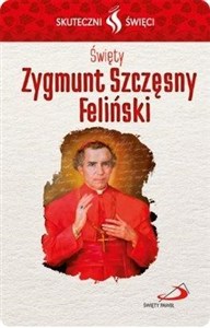 Bild von Karta Skuteczni Święci. Święty Zygmunt S. Feliński
