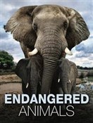 Endangered... - Tom Jackson -  Polnische Buchandlung 