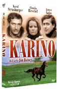 Polska książka : DVD Karino...