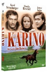 Bild von DVD Karino