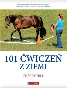 Obrazek 101 ćwiczeń z ziemi