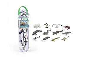 Bild von Box Zwierzęta morskie