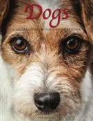 Polnische buch : Dogs - Jackson Tom