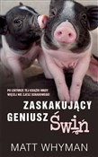 Zaskakując... - Matt Whyman - Ksiegarnia w niemczech