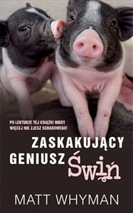 Obrazek Zaskakujący geniusz świń