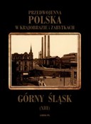 Polnische buch : Górny Śląs... - Władysław Miedniak