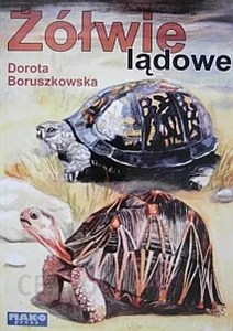 Bild von Żółwie lądowe