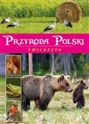 Przyroda P... - Żaneta Zając - buch auf polnisch 