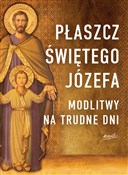 Polska książka : Płaszcz Św... - Tarcisio Stramare, Giuseppe Brioschi