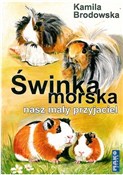 Świnka mor... - Kamila Brodowska -  polnische Bücher