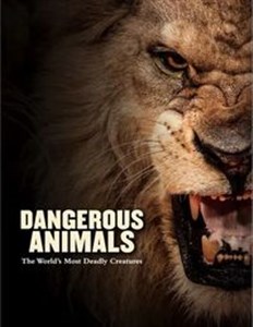 Obrazek Dangerous Animals