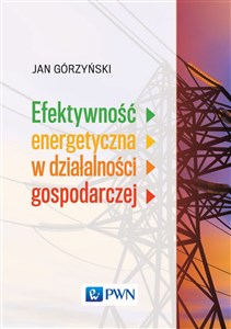 Obrazek Efektywność energetyczna w działalności gospodarczej