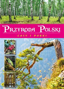 Bild von Przyroda Polski Lasy i parki