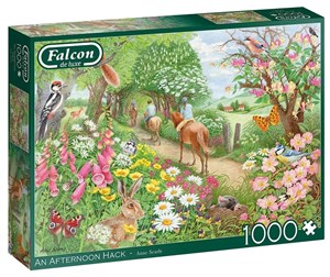 Bild von Puzzle 1000 Falcon Popołudniowa przejażdżka G3