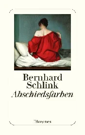SCHLINK, B... - buch auf polnisch 