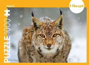 Obrazek LUCHS - PUZZLE