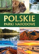 Polskie pa... - Opracowanie Zbiorowe -  fremdsprachige bücher polnisch 