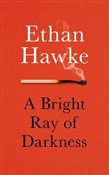 Polska książka : A Bright R... - Ethan Hawke