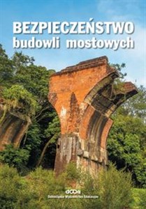 Obrazek Bezpieczeństwo budowli mostowych